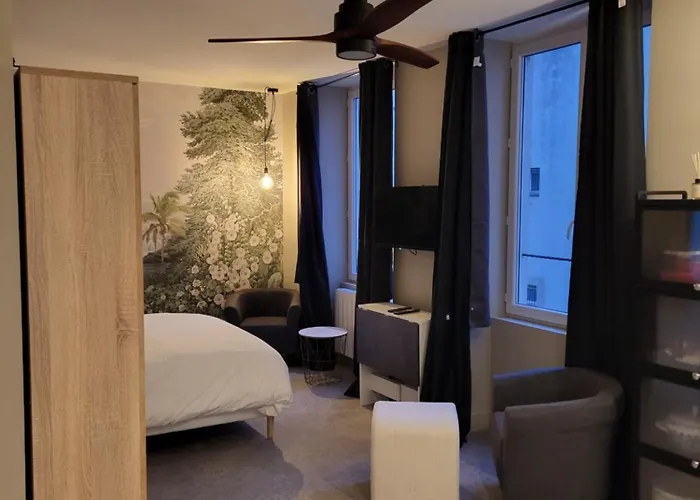 Ainay/centre Lyon/un Cocon ! Апартаменты *